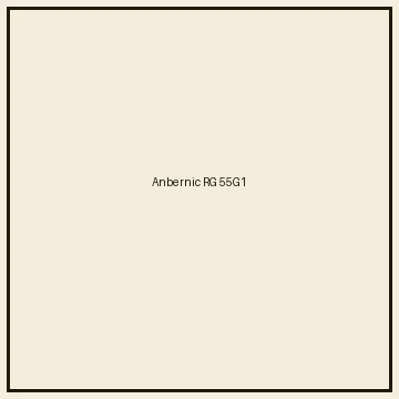 Anbernic RG 55G1