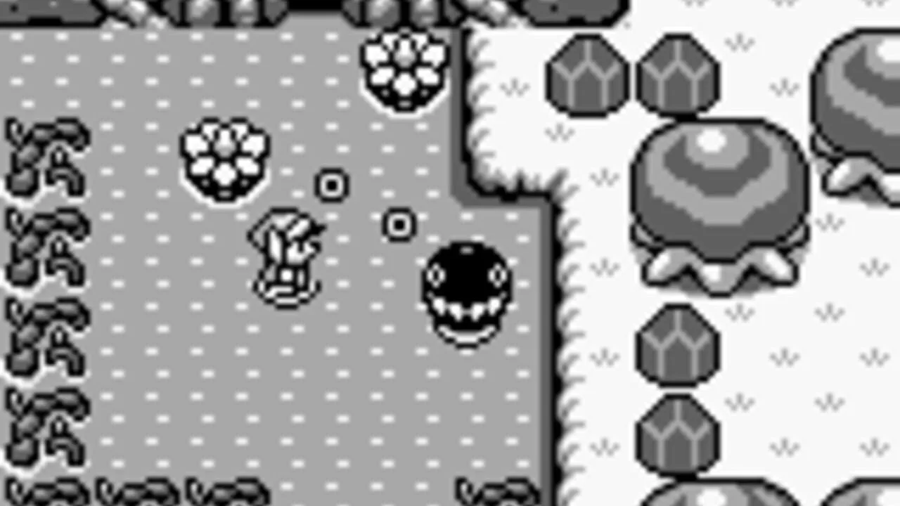 Link's Awakening sur Game Boy